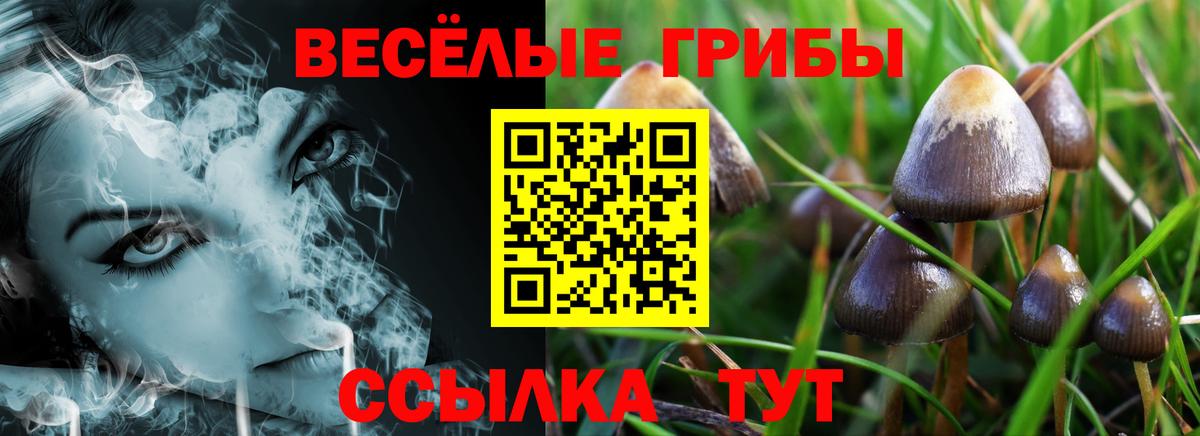 Петропавловск-Камчатский  Галлюциногенные грибы Magic Shrooms  Вход с VPN  Псилоцибиновые грибы мухоморы 