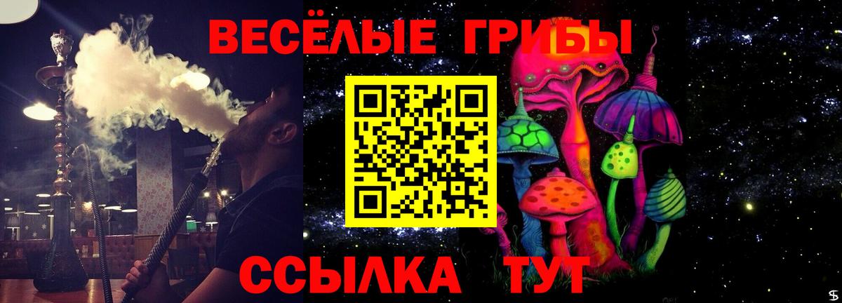 Псилоцибиновые грибы мицелий Петропавловск-Камчатский